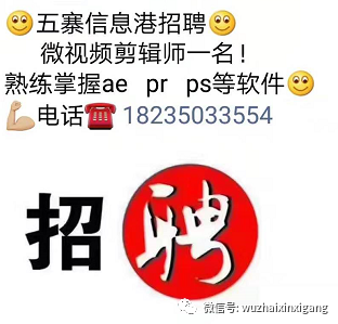 泊里信息港最新招聘动态，人才热土的新机遇探寻