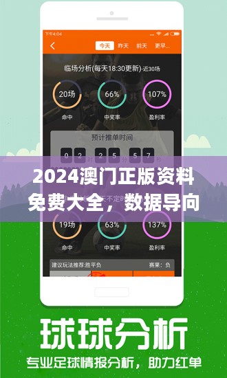 2024新澳门正版免费资本车297｜统计解答解释落实