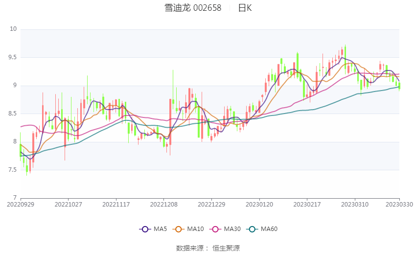 雪迪龙股票最新消息深度解析与动态关注