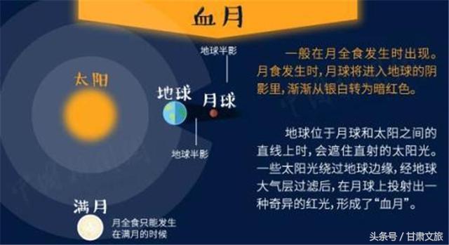 新澳今晚开什么号码刘半仙,仿真方案实现_HDR版57.550